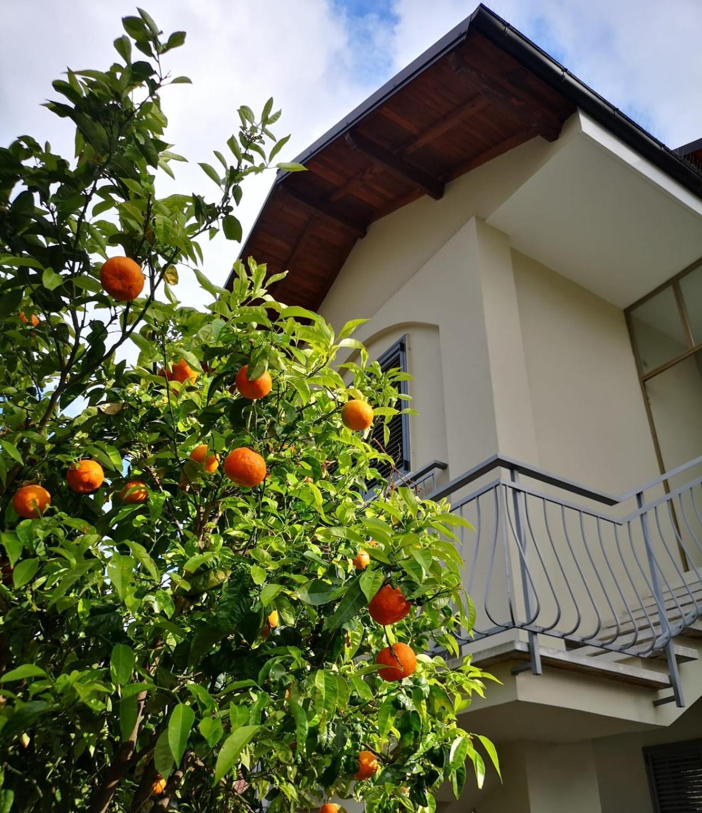 Loano Casa Arche Villa Indipendente Con Giardino Eksteriør billede